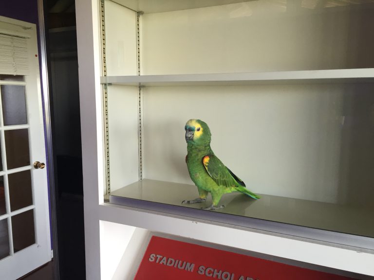 Bird Containment Center?